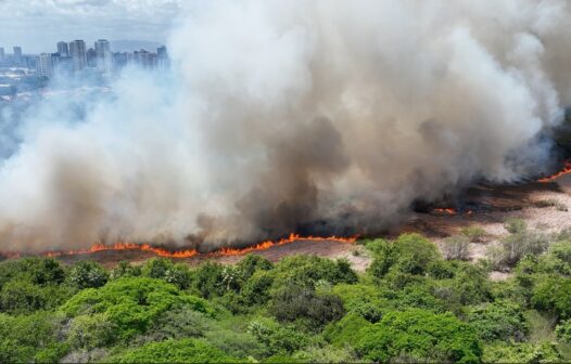 Número de focos de queimadas no Ceará atinge maior nível desde 2018