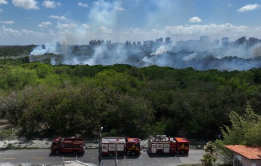 Incêndio no Parque do Cocó: sem previsão para acabar, Corpo de Bombeiros segue combatendo o fogo 