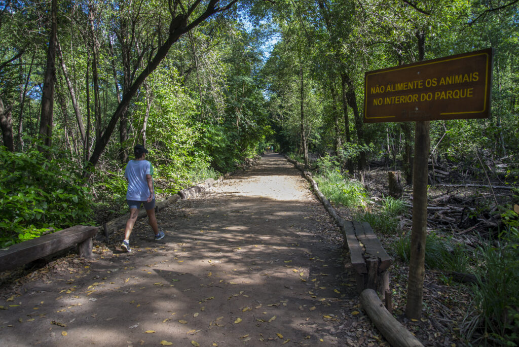 Lazer ao ar livre em Fortaleza: parques cercados pela natureza são refúgio para famílias e amigos