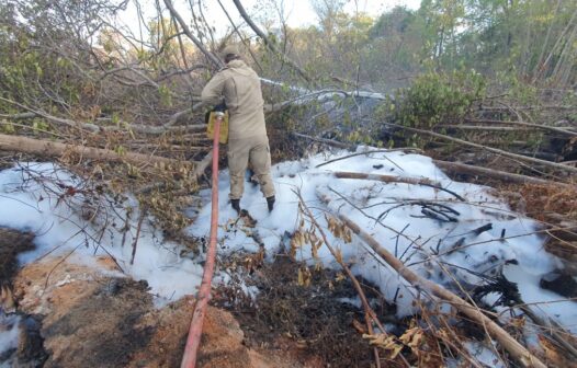 Quarto foco permanece ativo em incêndio no Parque do Cocó, informa Corpo de Bombeiros