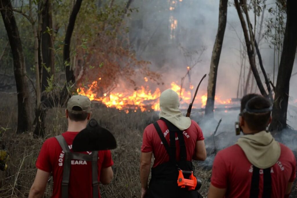 Elmano anuncia que incêndio no Parque do Cocó está controlado