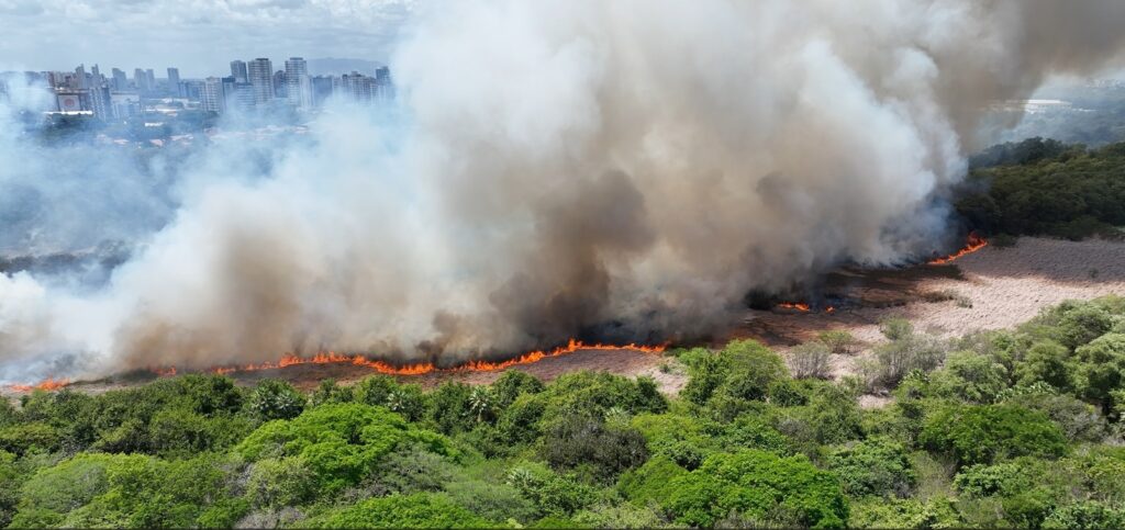 Incêndio no Parque do Cocó: área consumida já equivale a quatro campos de futebol