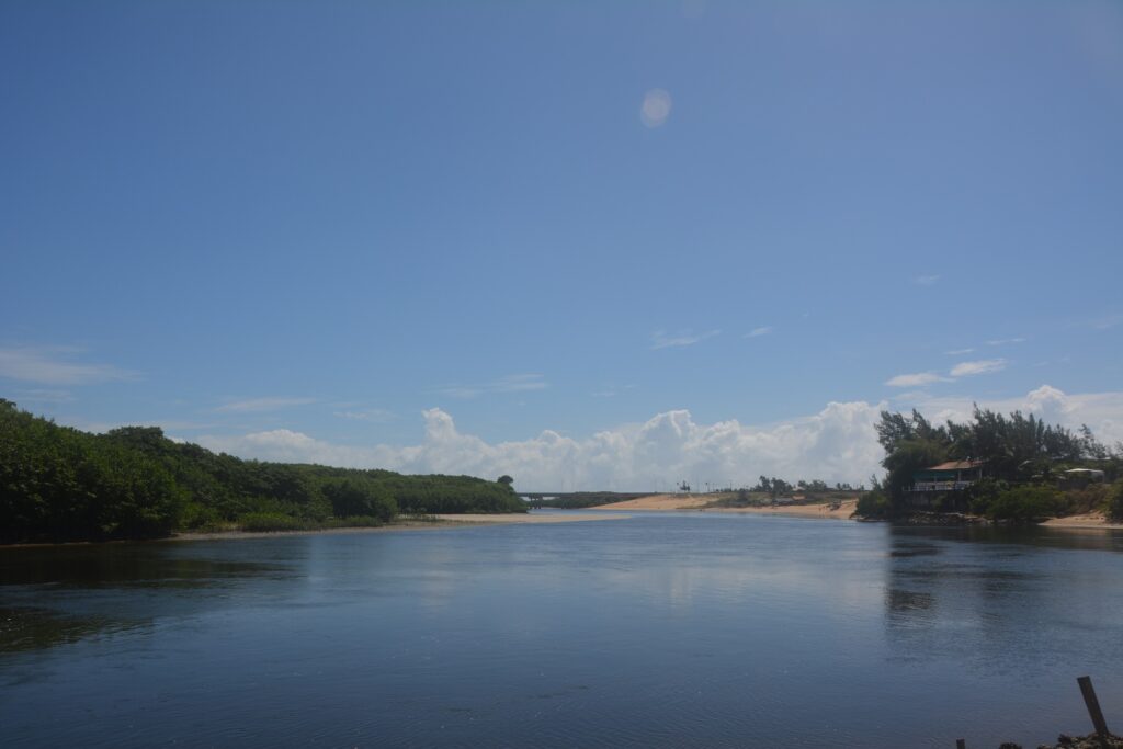 Agrotóxicos: Estudos da UFC encontram contaminação nos rios Cocó e Ceará