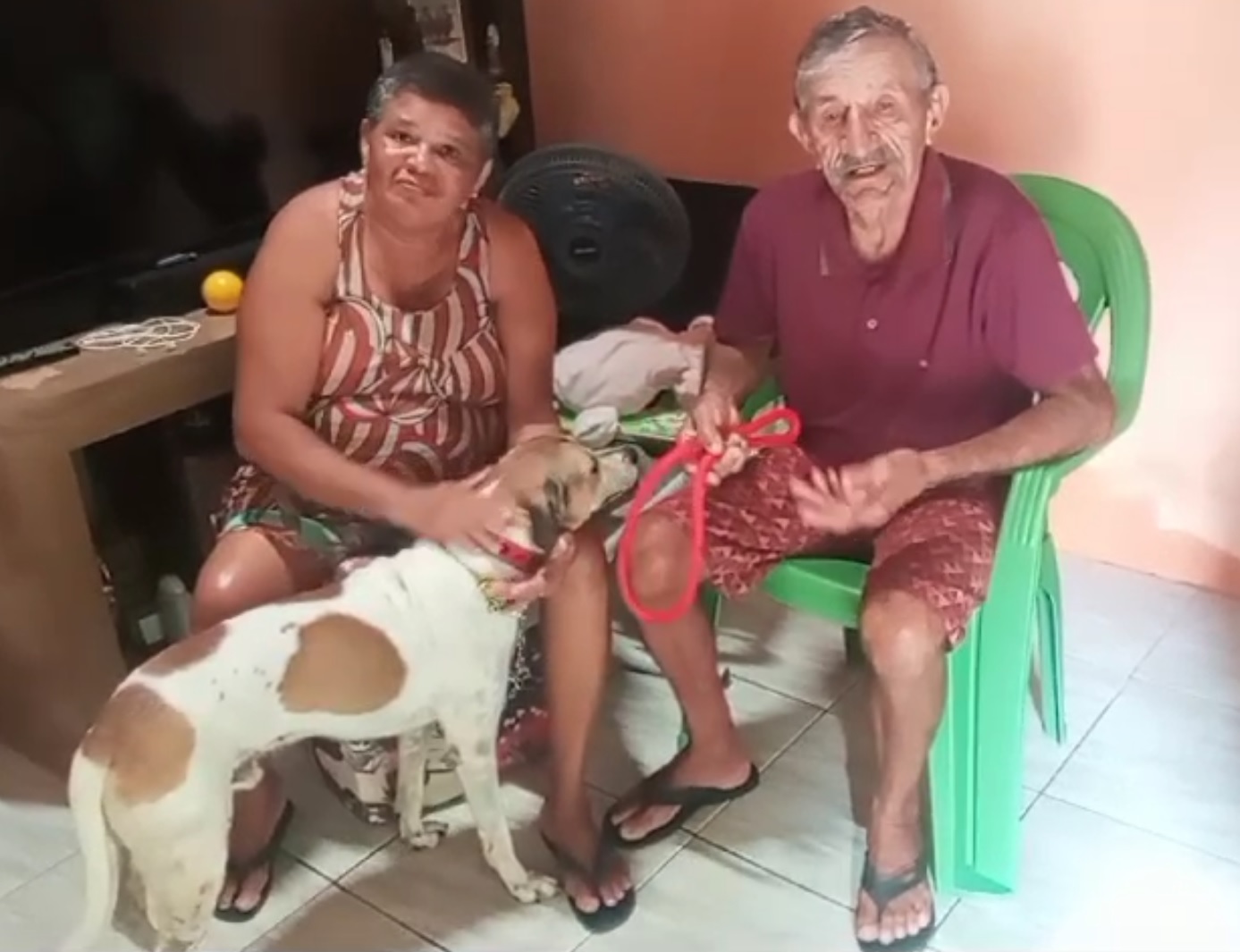 Adotado, cachorro que esperava por dono antigo no hospital é batizado de Frotinha