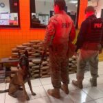 Polícia Rodoviária Federal apreende 115 kg de drogas em Caucaia
