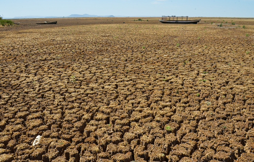 Quatro cidades do Ceará têm situação de emergência reconhecida por falta de chuvas; saiba quais