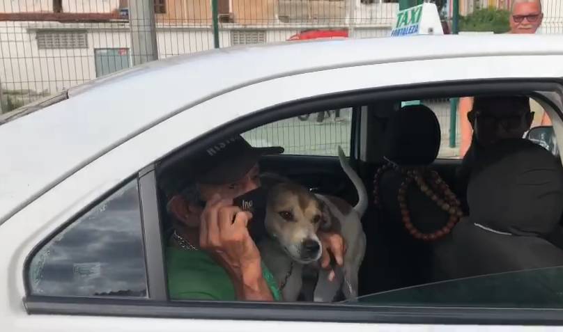 Cachorro que fazia plantão em porta de hospital à espera de dono que morreu é adotado