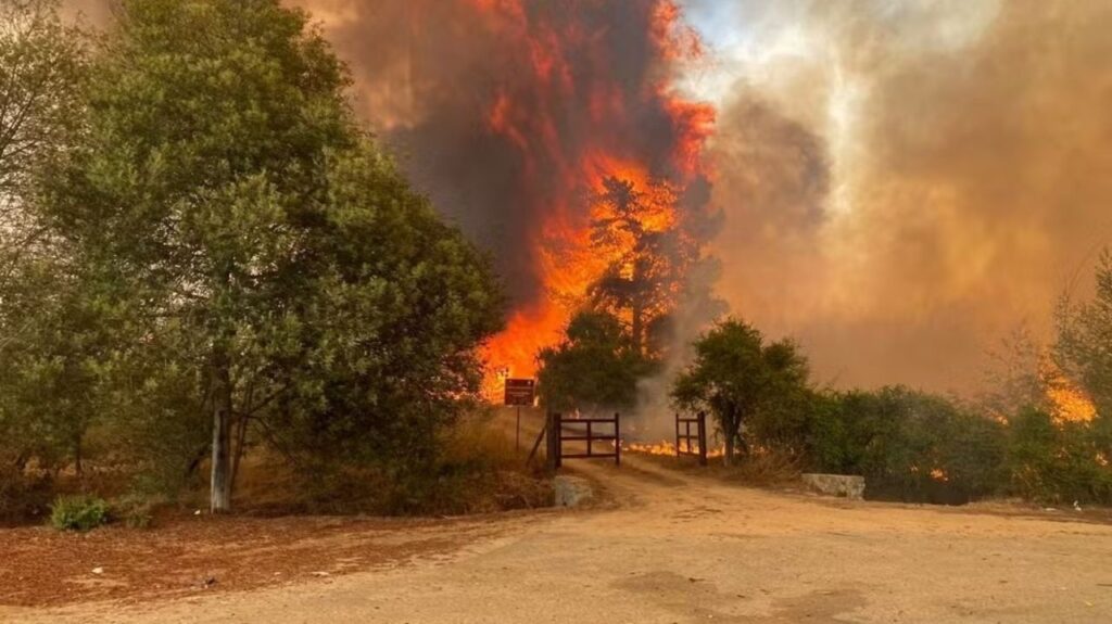 Incêndios florestais causam pelo menos 19 mortes no Chile; milhares de hectares são atingidos