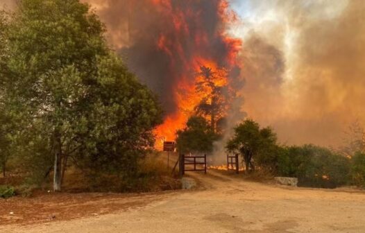 Incêndios florestais causam pelo menos 19 mortes no Chile; milhares de hectares são atingidos