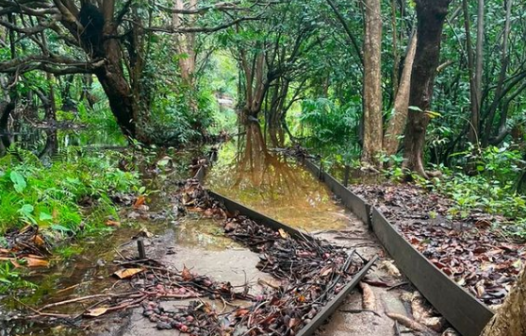 Trilhas do Cocó ficaram submersas por conta das chuvas