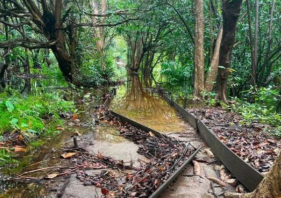 Passeio nas trilhas e navegação foram suspensos devido à forte chuva na cidade