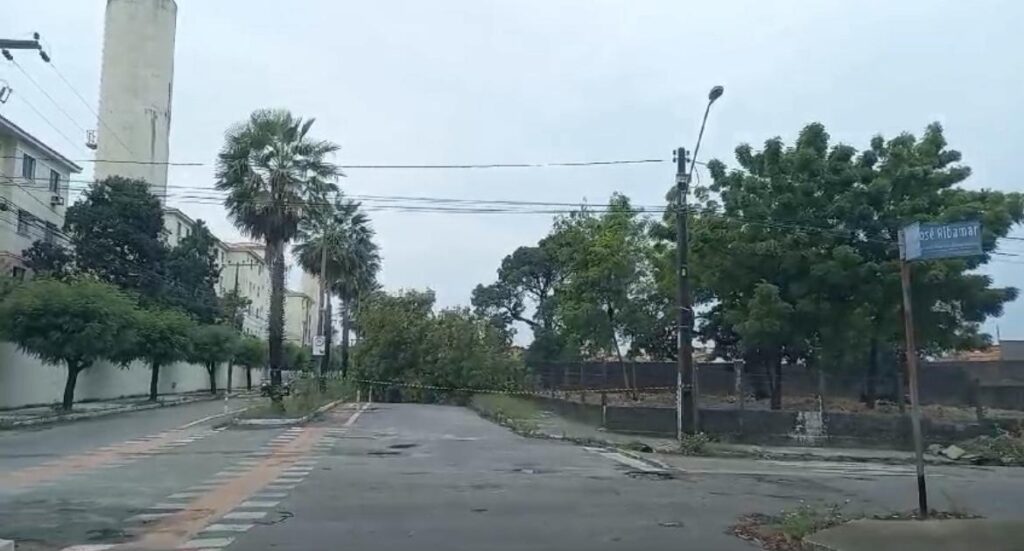 Árvore cai e bloqueia trecho de avenida na Cidade dos Funcionários, em Fortaleza