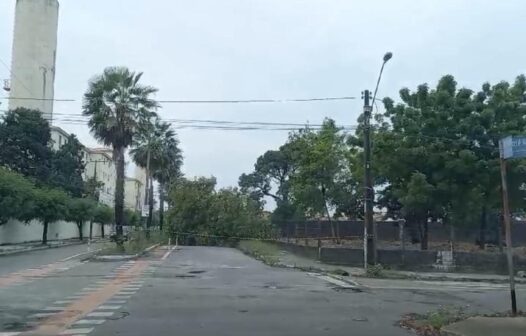 Árvore cai e bloqueia trecho de avenida na Cidade dos Funcionários, em Fortaleza