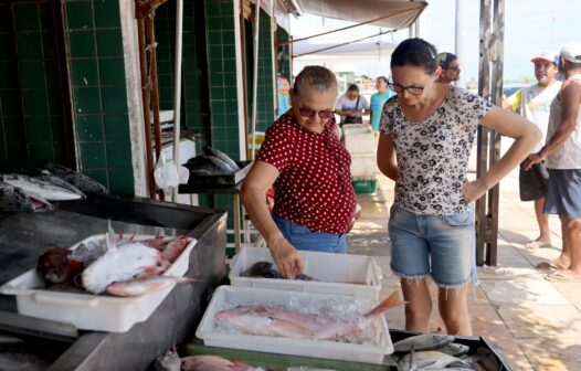 Preço de peixes para a Semana Santa pode variar 193% em Fortaleza, aponta Procon