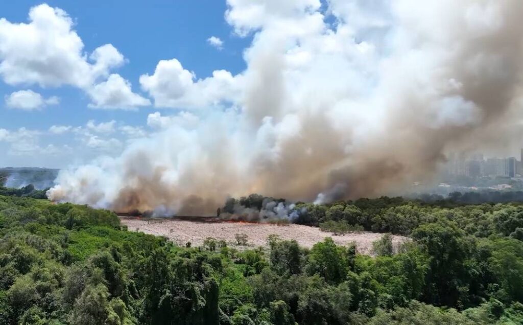 Estudo que avalia degradação do Parque do Cocó será apresentado dia 16 de março