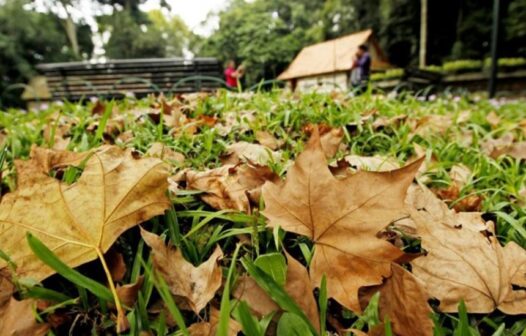 Saiba quando chega o outono no Brasil; calor pode diminuir