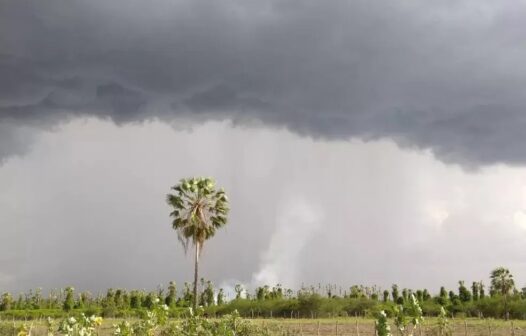 Chuva no Dia de São José? Entenda a relação com o equinócio de outono