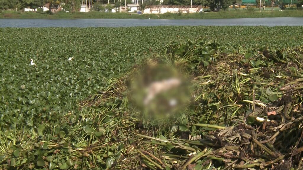 Corpo é encontrado durante limpeza na Lagoa do Opaia, em Fortaleza