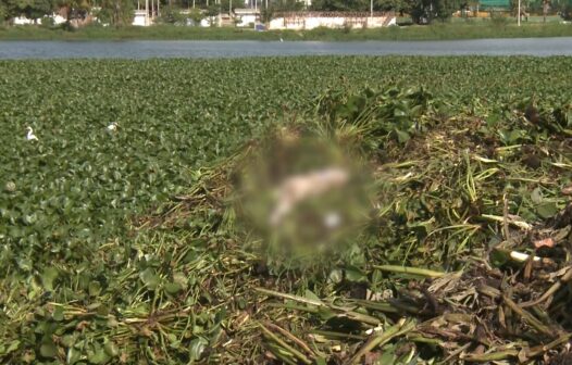 Corpo é encontrado durante limpeza na Lagoa do Opaia, em Fortaleza