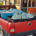 PRF apreende 800 Kg de frango transportados irregularmente em Sobral