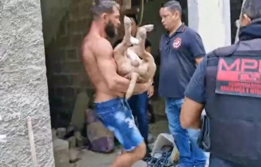 Pitbull morde promotor durante ação no RJ e morre após ser baleado