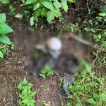 Vaqueiro encontra ossada humana em fazenda na zona rural de Maranguape