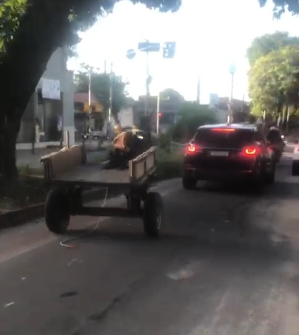 Cavalo desgovernado corre com carroça e bate em carro no José Walter, em Fortaleza