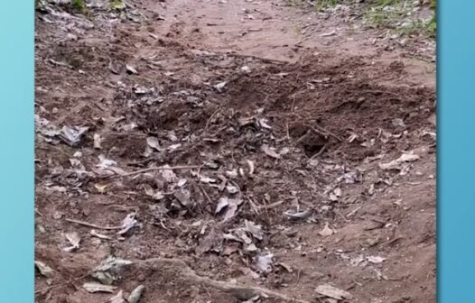 Corpo é encontrado em cova rasa na serra da Ibiapaba, no interior do Ceará