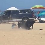 Vídeo: touro escapa de fazenda e ataca turistas em praia no México