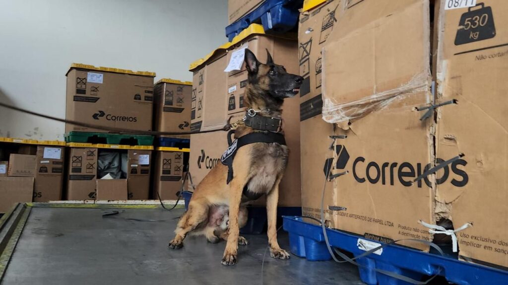 Receita intercepta 1 kg de maconha em fiscalização no Aeroporto de Fortaleza