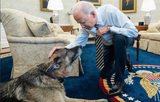 Kristi Noem pede morte do cachorro de Joe Biden após ele morder agentes