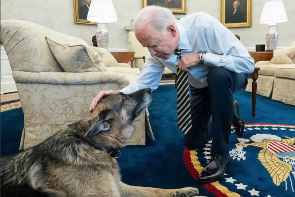 Kristi Noem pede morte do cachorro de Joe Biden após ele morder agentes