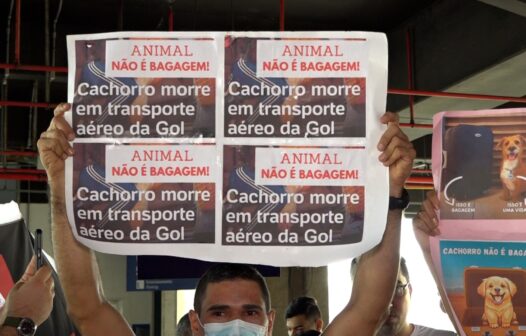 Tutores se reúnem no Aeroporto de Fortaleza para manifestação após morte do cachorro Joca