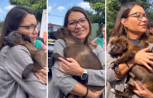 Janja adotou cadela que foi resgatada de enchentes no Rio Grande do Sul, veja vídeo
