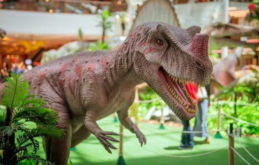 Fortaleza recebe maior exposição de dinossauros em tamanho real da América Latina