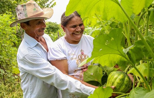 Programa Sertão Vivo será lançado no Ceará nesta quarta-feira (15)