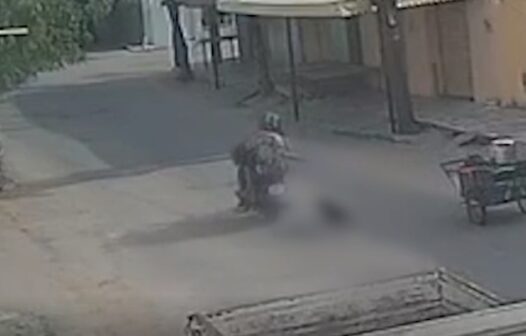 Vídeo: cachorro é arrastado por passageiro de moto no Centro de Canindé, no Ceará