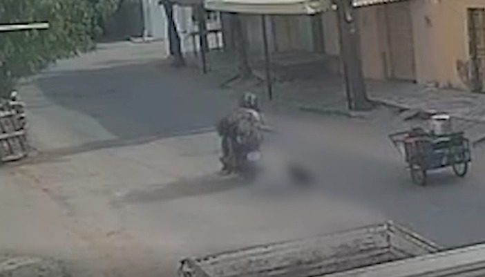 Vídeo: cachorro é arrastado por passageiro de moto no Centro de Canindé, no Ceará