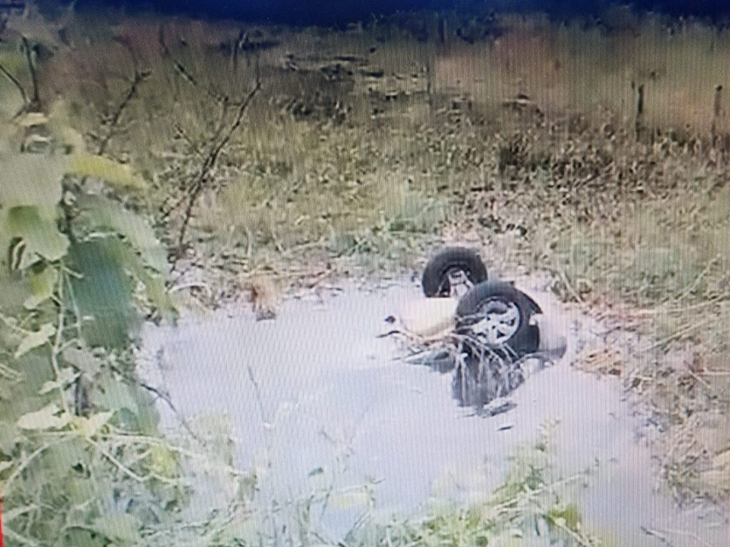 Dois homens morrem afogados em lamaçal após acidente de carro em rodovia no Ceará