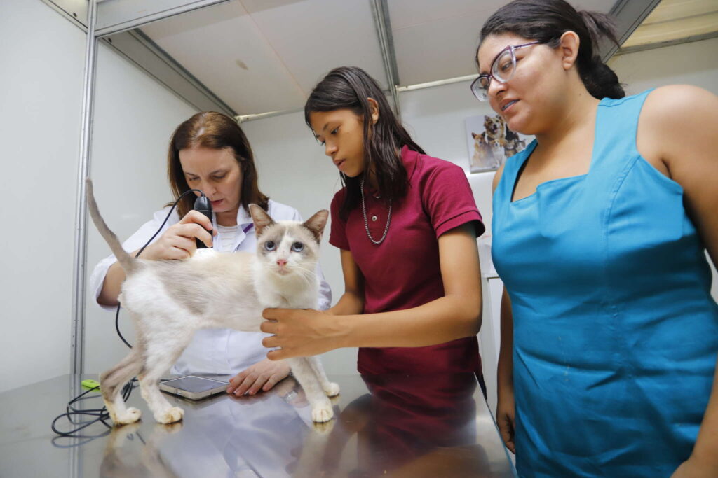 Pet Ceará Móvel inicia nesta quarta (10) atendimento gratuito em abrigos de animais