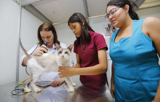 Pet Ceará Móvel inicia nesta quarta (10) atendimento gratuito em abrigos de animais