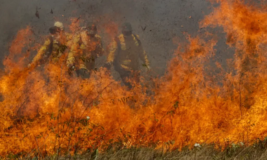 “Estamos em uma das piores situações”, diz Marina Silva sobre incêndios no Pantanal