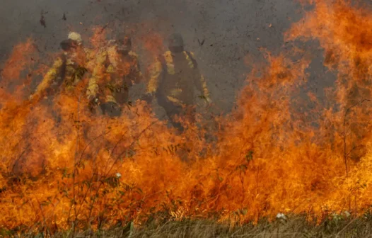 “Estamos em uma das piores situações”, diz Marina Silva sobre incêndios no Pantanal