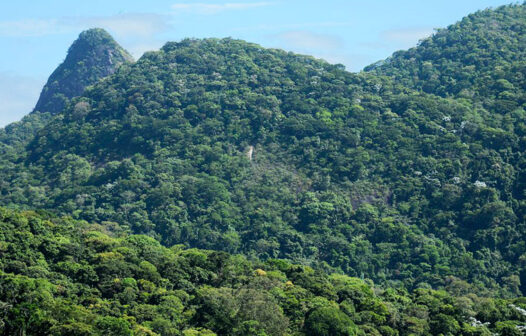 IBGE define Bioma predominante em cada município brasileiro para fins estatísticos