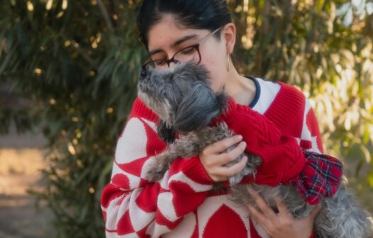 Saiba como enfrentar o luto pela morte de um pet