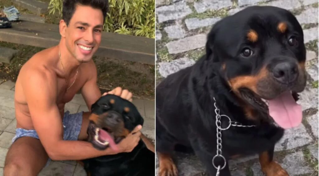 Cauã Reymond lamenta morte de cachorro por envenenamento