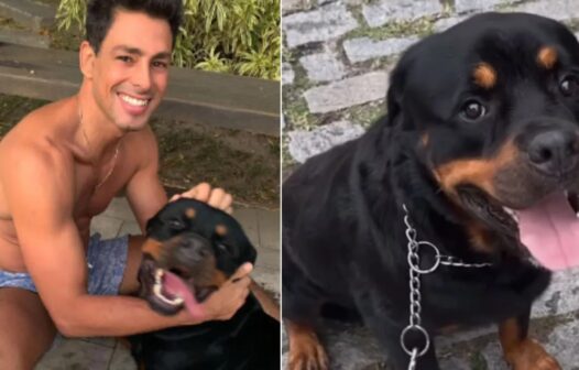 Cauã Reymond lamenta morte de cachorro por envenenamento