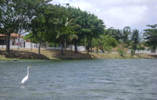 Prefeitura de Fortaleza dá início a ações de limpeza nas lagoas da capital