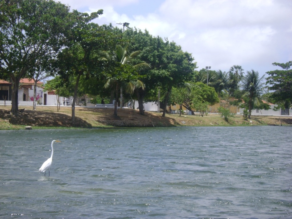 Prefeitura de Fortaleza dá início a ações de limpeza nas lagoas da capital