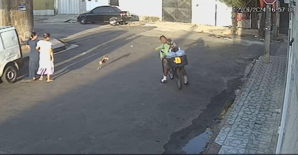 Homem atira pedra contra um cachorro no bairro João XXIII